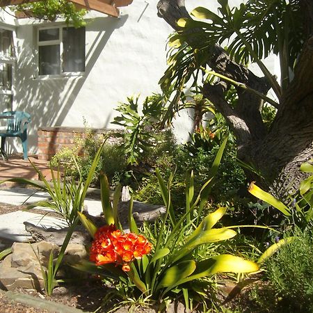 Be My Guest Lodge Bloubergstrand Camera foto