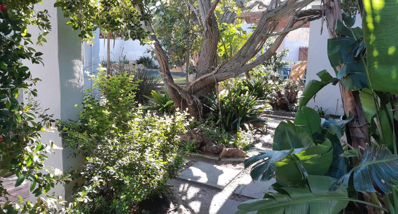 Be My Guest Lodge Bloubergstrand Esterno foto