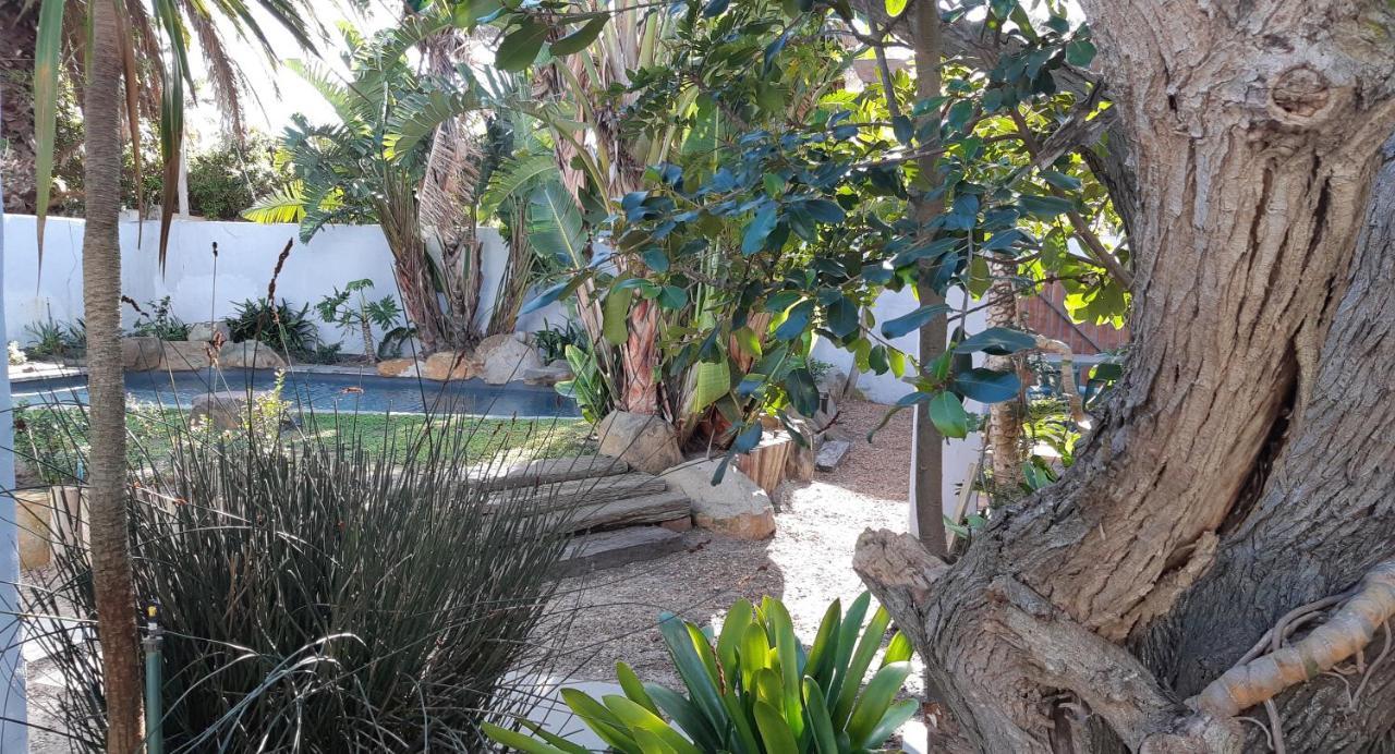 Be My Guest Lodge Bloubergstrand Esterno foto